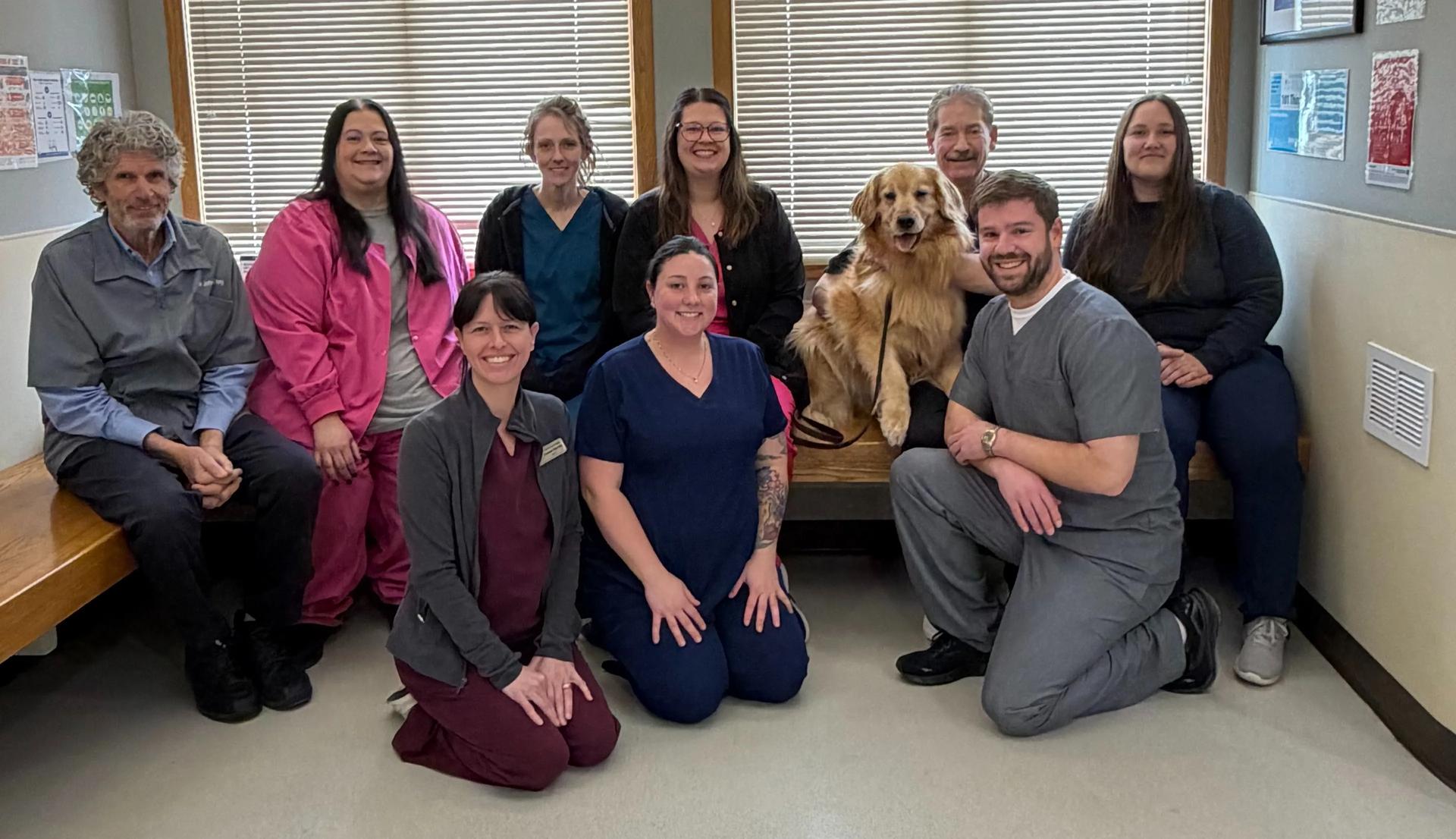 The veterinary team at Graber's Animal Hospital in Toledo OH