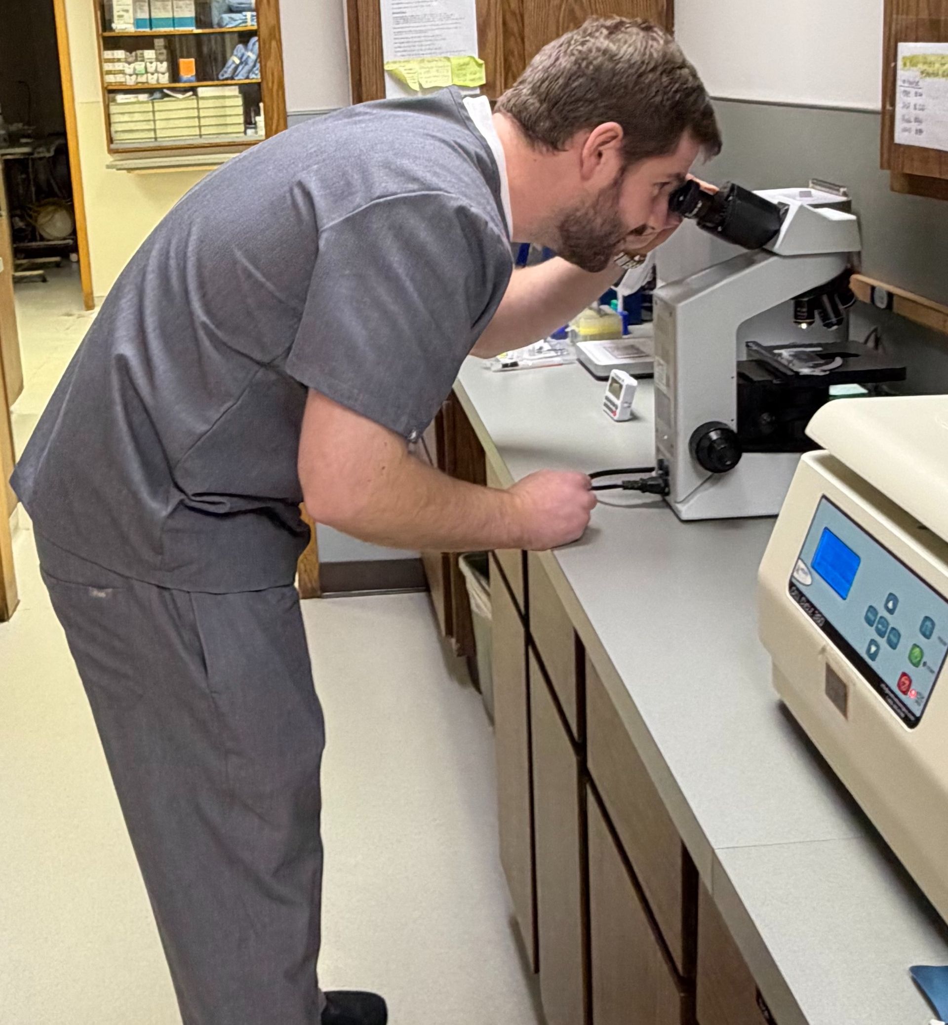 Veterinary technician using laboratory microscope for in-house diagnostics at Graber's Animal Hospital Toledo OH