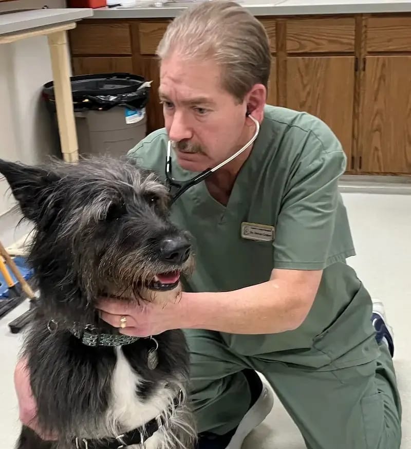 Dr. Steven Graber examining a dog at Graber's Animal Hospital in Toledo OH